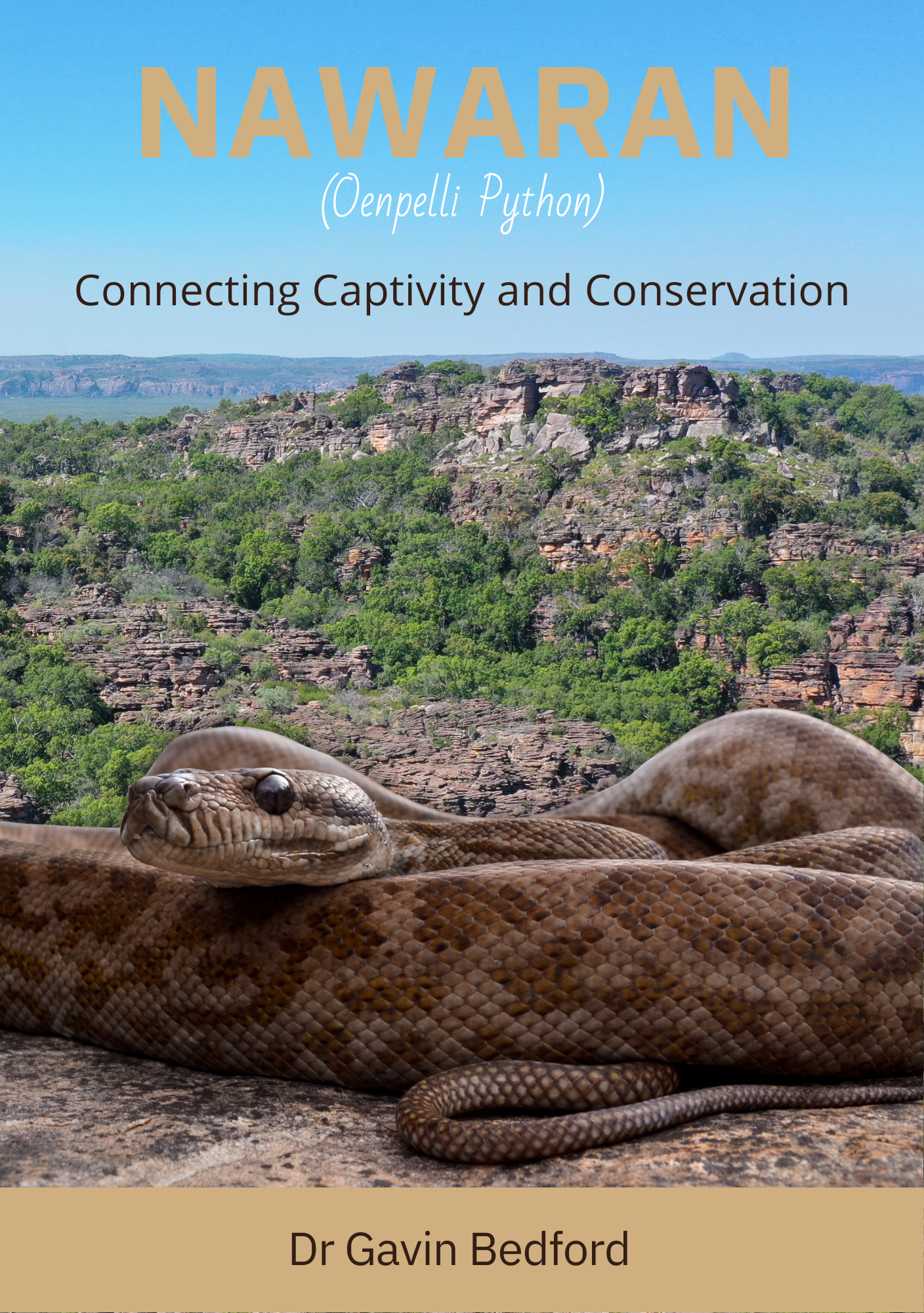 Nawaran (Oenpelli Python) (NO LONGER AVAILABLE)